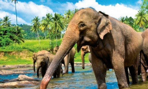 Cestovatelská přednáška - povídání o Srí Lance