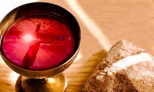 Od chlípníků ani drobek! Glosa o těch, kteří se zbláznili