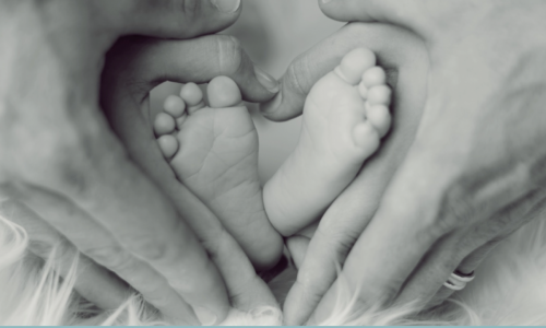 Setkání nad Slovem