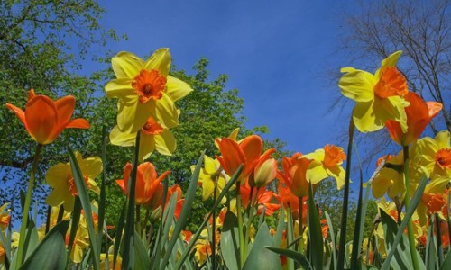 Mládí je krásné :)